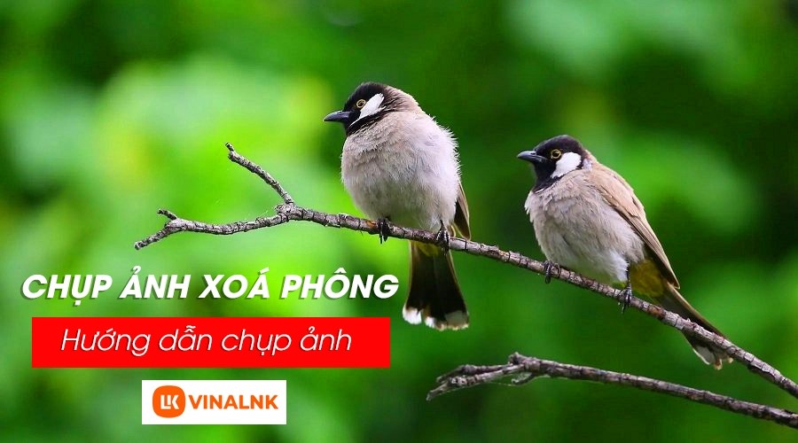 Chụp ảnh xóa phông không phải là điều dễ dàng, nhưng với một số mẹo chụp xoá phông đơn giản, bạn có thể tạo ra những bức ảnh đẹp và ấn tượng. Hãy tìm kiếm hình ảnh liên quan đến chụp ảnh xoá phông và mẹo chụp xoá phông để khám phá những kỹ thuật chụp ảnh mới nhất và tạo ra những bức ảnh đẹp nhất.