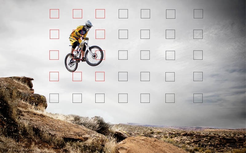 Chụp ảnh lấy nét dự đoán là gì? cách chụp lấy nét siêu đẹp