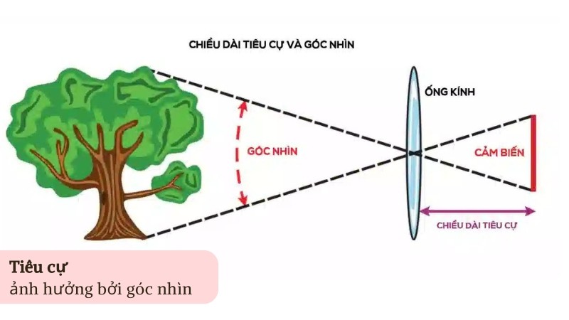 Góc nhìn của camera là gì? Cách tính góc nhìn camera chuẩn nhất